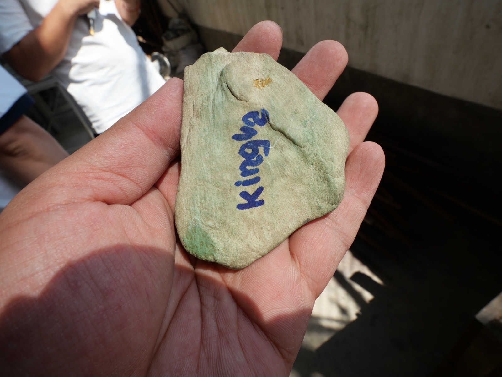 P1068336.JPG