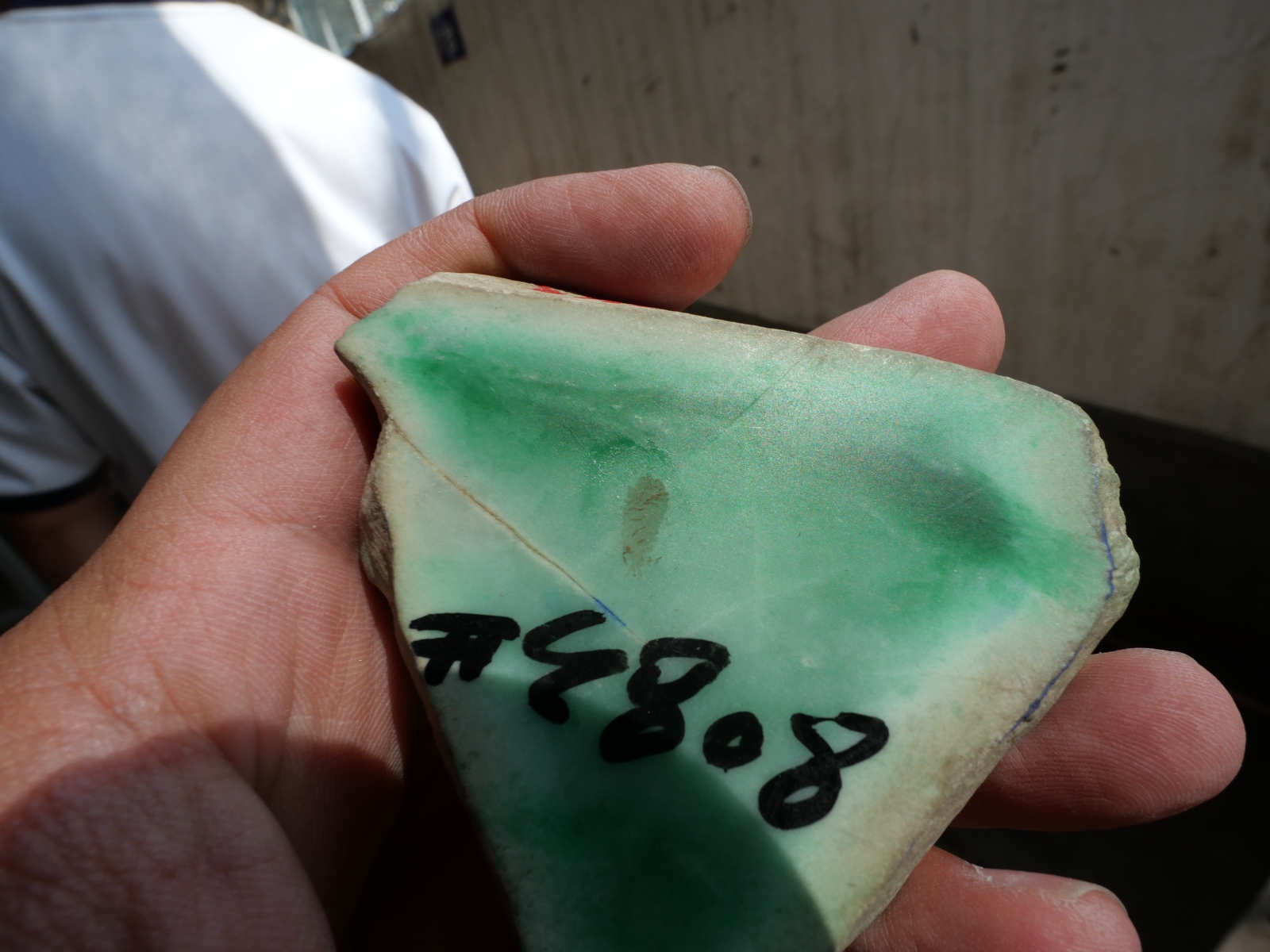 P1068343.JPG