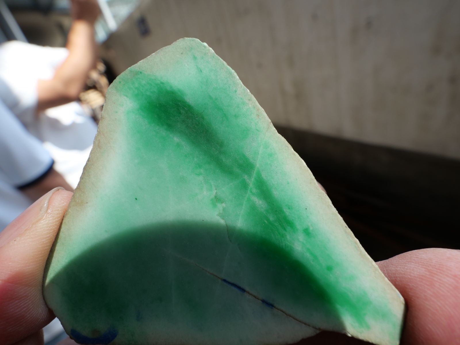 P1068352.JPG