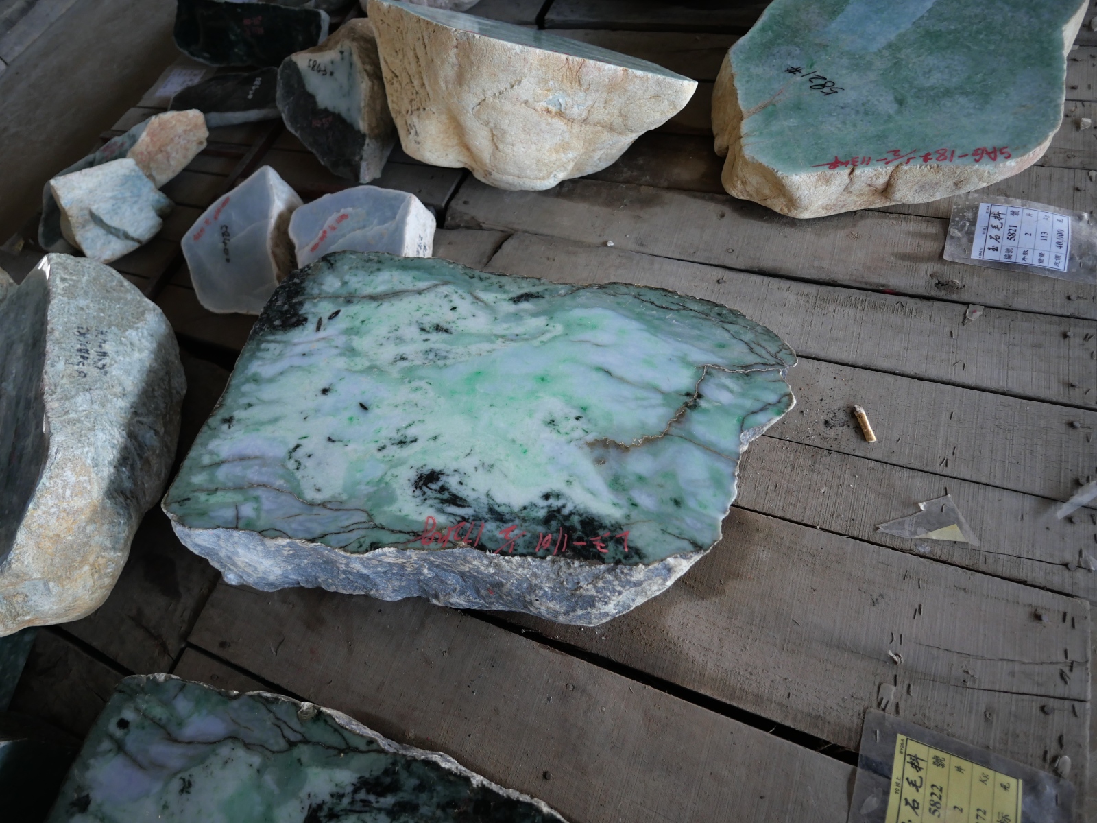 P1068434.JPG