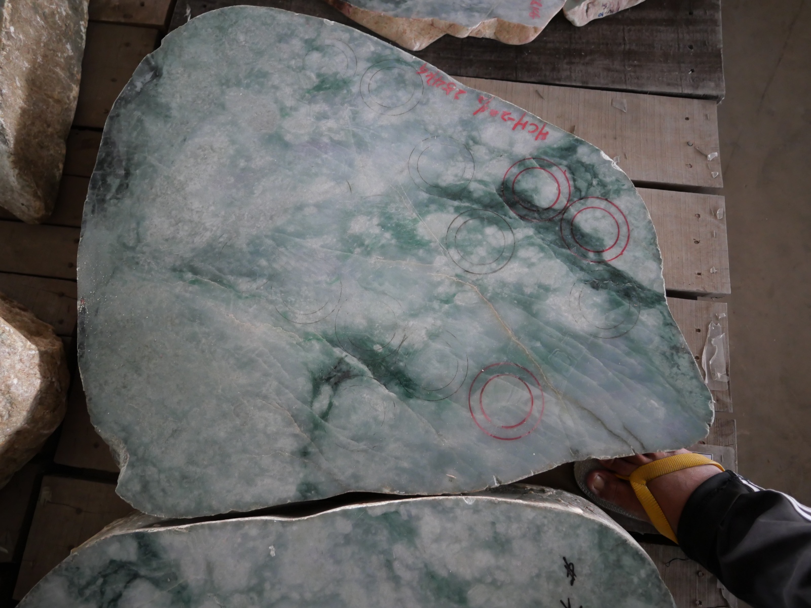 P1068469.JPG