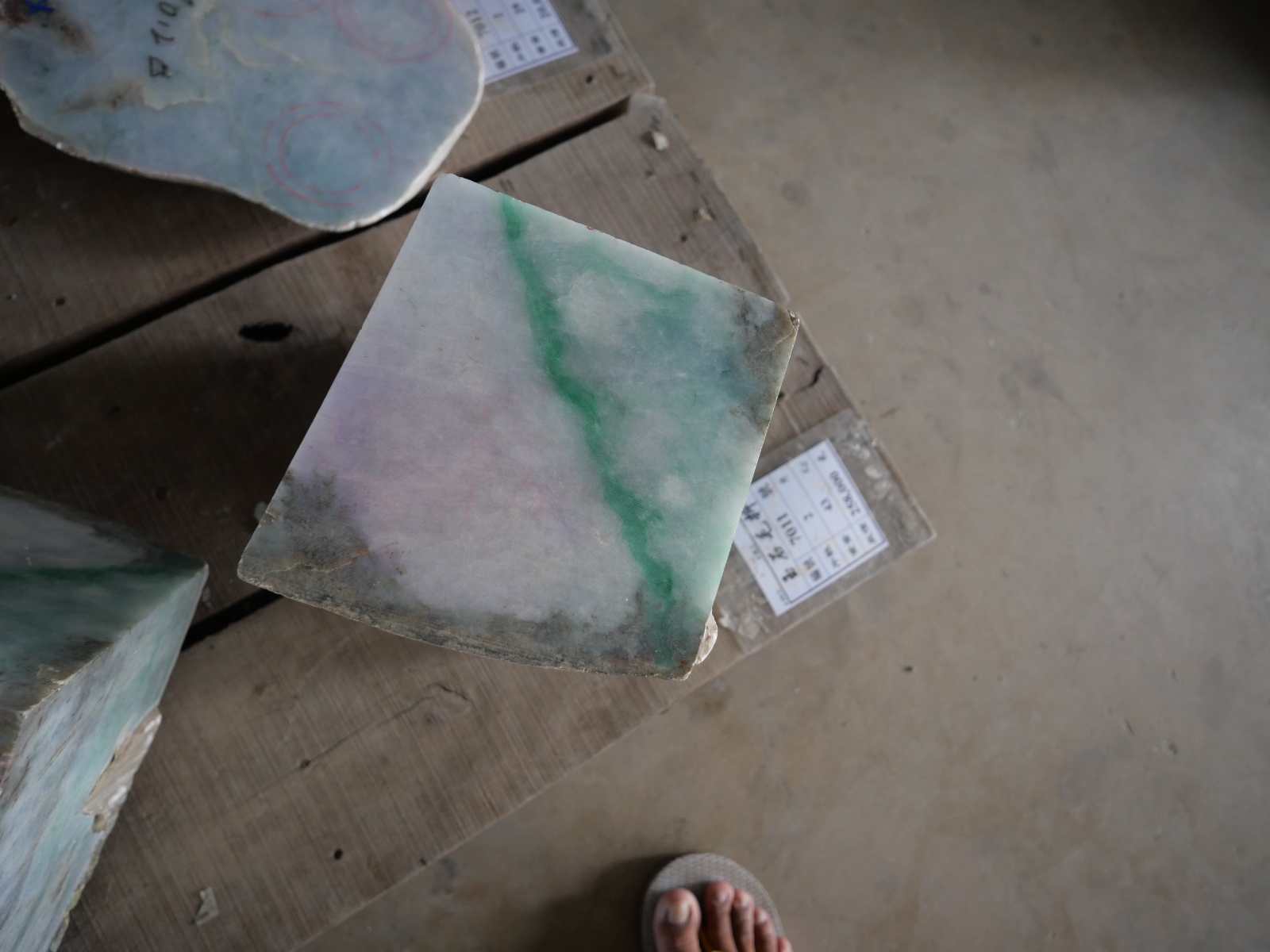 P1068490.JPG