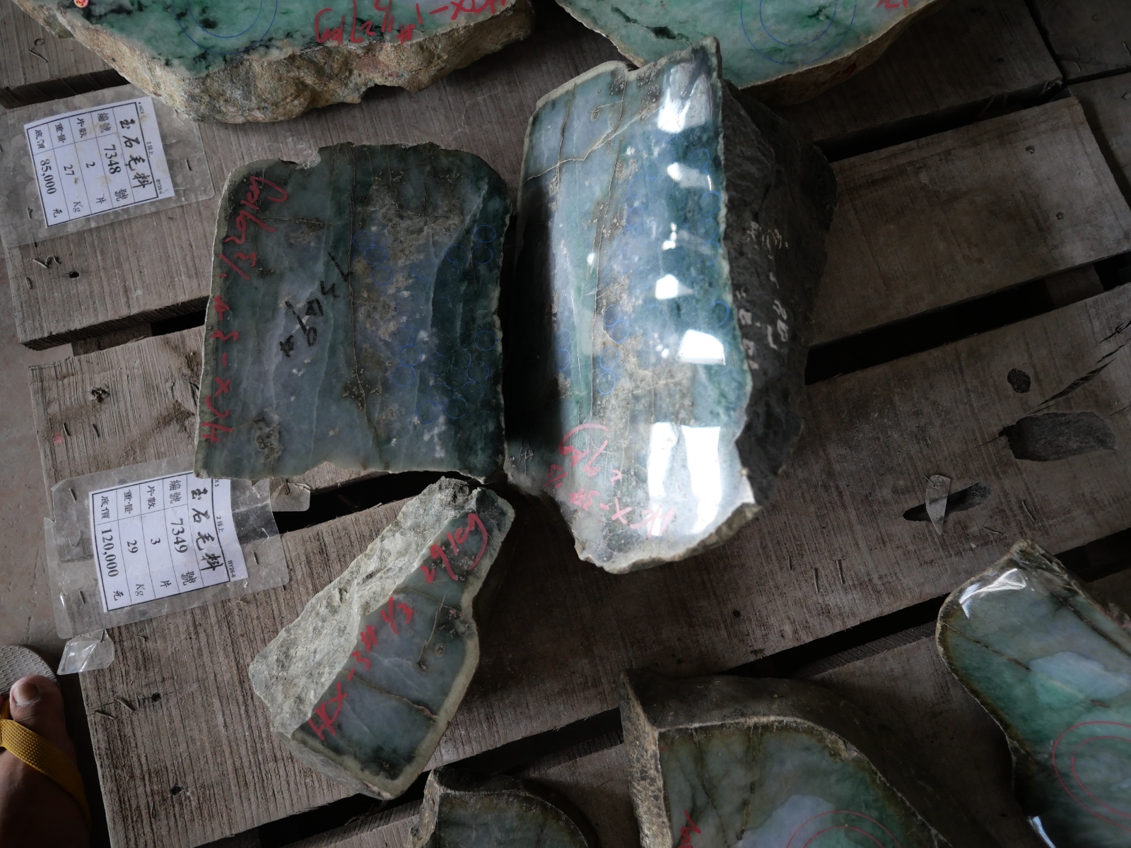 P1068548.JPG