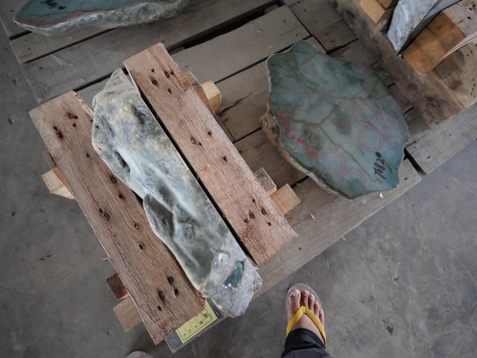 P1068637.JPG