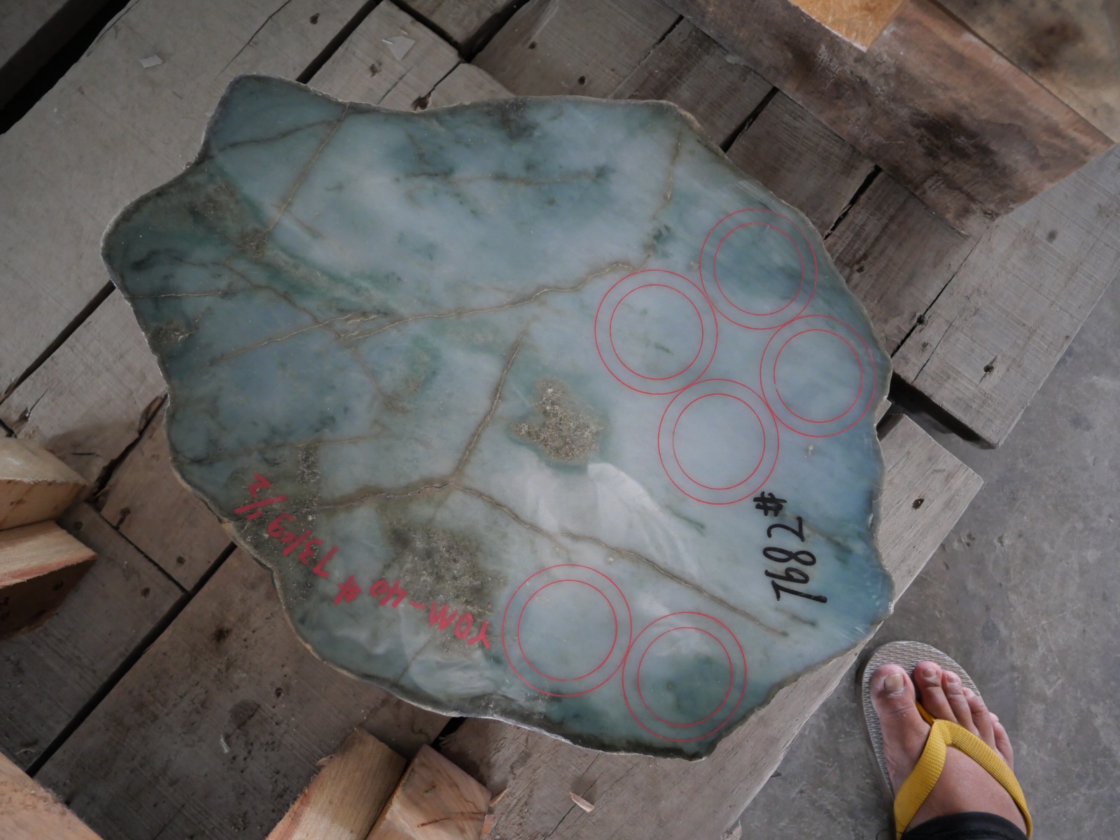 P1068660.JPG